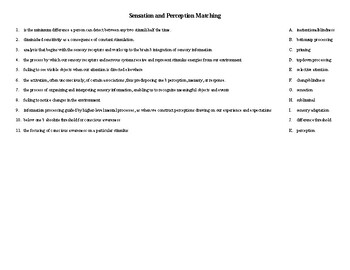 Preview of Psychology: Sensation and Perception Matching Puzzle