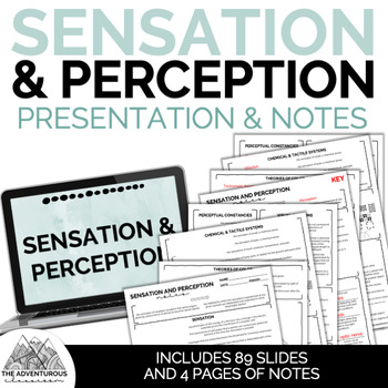 Preview of Psychology: Sensation and Perception Presentation and Notes Bundle