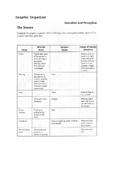 Preview of Psychology - Sensation and Perception - The Senses - Graphic Organizer