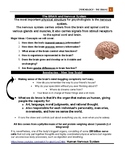 Psychology - The Brain/Nervous System Lesson Booklet  (les