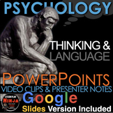 Psychology: Thinking & Language PowerPoint/Google Slides, 