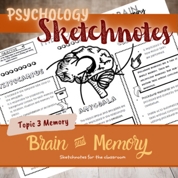 Preview of Psychology role of the brain in the memory | Sketchnotes | digital & print
