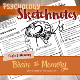 Psychology role of the brain in the memory | Sketchnotes |