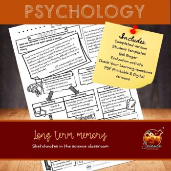 Preview of Psychology worksheet Long term memory | mini bundle | explain activity