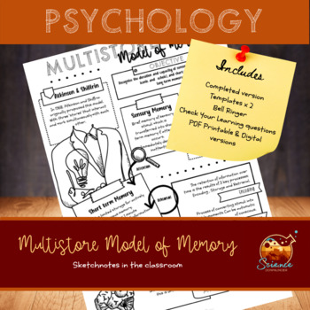 Preview of Psychology worksheet Model of Memory | mini bundle | sketchnotes, activities