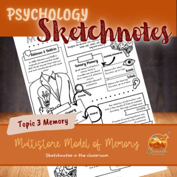 Preview of Psychology worksheet model of memory | Sketchnote | digital & printable