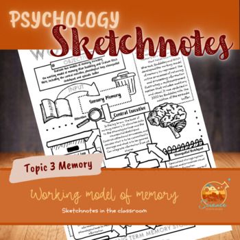 Preview of Psychology worksheet working model of memory | Sketchnotes | digital & printable