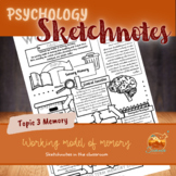 Psychology worksheet working model of memory | Sketchnotes