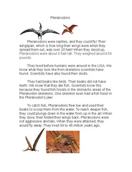 Preview of Pteranodons: Nonfiction Reading with Questions