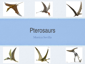 Preview of Pterosaurs Powerpoint