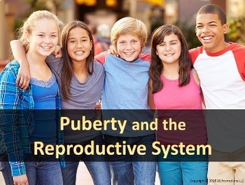 Preview of Puberty and the Reproductive System