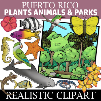 Preview of Puerto Rico Clipart - Ecosystem Clip art