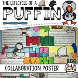 Puffin Life Cycle Activity: Collaborative Research Poster