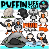 Puffin Life Cycle Clip Art Set {Educlips Clipart}