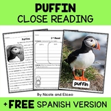 Puffin Close Reading Comprehension Passage Activities + FR