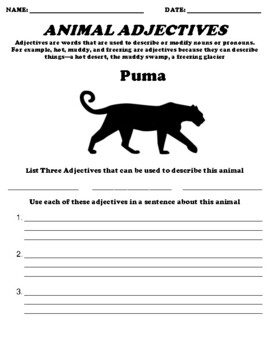 Puma ADJECTIVES UDL ASSIGNMENT by Northeast Education | TPT