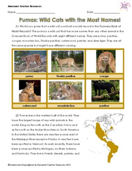 Preview of Pumas: Wild Cats with the Most Names! Comprehension and Essay Response: GR5