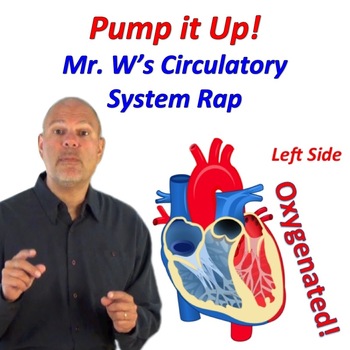 Preview of Pump it Up (Mr. W's Circulatory System Rap Video)