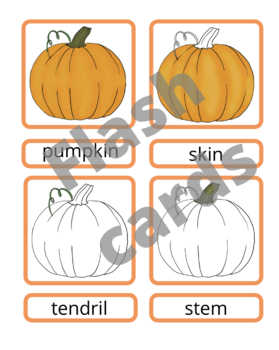 Preview of Pumpkin 3 Part Cards