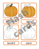 Pumpkin 3 Part Cards