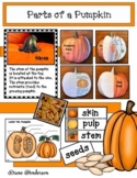 Pumpkin Activities Parts of a Pumpkin Activities