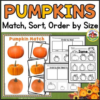 Preview of Pumpkin Activities for Preschool - Match | Sort | Order by Size