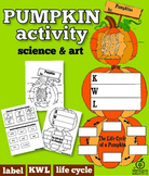 Pumpkin Activity