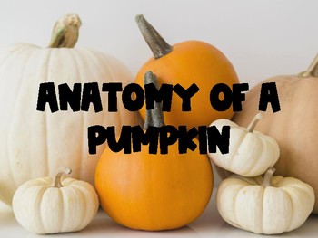 Preview of Pumpkin Anatomy- Horticulture