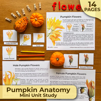 Preview of Pumpkin Anatomy Unit Study, Parts of a Pumpkin, Pumpkin Anatomy Printable