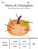 Pumpkin, Apple, Sunflower Parts & Life Cycle