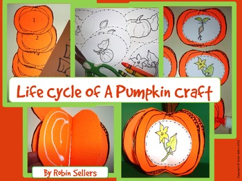 Pumpkin Craft Life Cycle Of A Pumpkin Craftivity By Robin Sellers