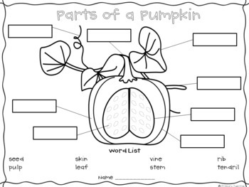 Pumpkin Day by Primary Junction | Teachers Pay Teachers