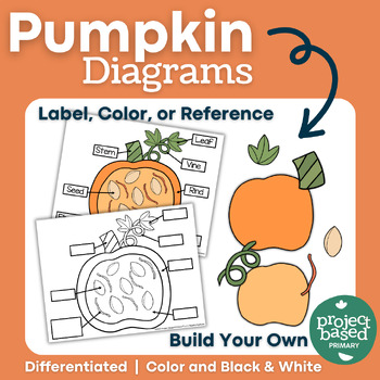 Preview of Pumpkin Diagrams