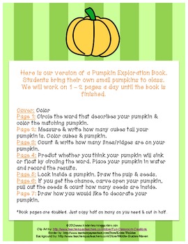 Pumpkin Exploration Book by Kinder Learning Garden | TPT