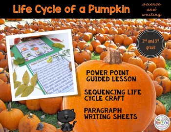 Preview of Pumpkin Expository Writing Lesson with Life Cycle Craft