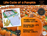 Pumpkin Expository Writing Lesson with Life Cycle Craft