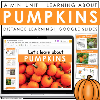 Preview of Pumpkin | Google Slides