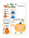 Pumpkin Identification