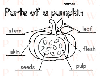 Pumpkin Informative Writing | Have Can Are | Label | Life Cycle | Prompt