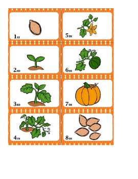 Preview of Pumpkin Inquiry Activities