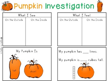 Pumpkin Investigation by Apples to Applique | Teachers Pay Teachers