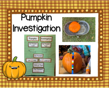 Preview of Pumpkin Investigation: A Whole Group and Independent Science and Math Activity