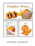 Pumpkin Investigation & Life Cycle Set