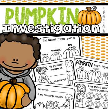Preview of Pumpkin Investigation Math Science Mini Book Activity