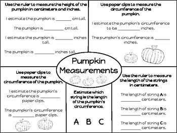 Preview of Pumpkin Investigation Measurement