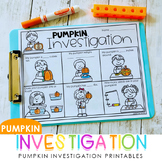 Pumpkin Investigation Printables - Pumpkin Week