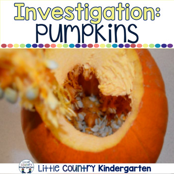 Preview of Pumpkin Investigation Unit - Kindergarten Pumpkin Activities