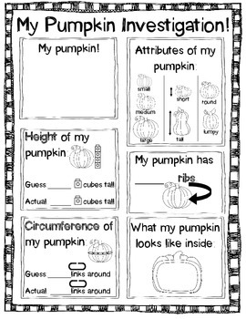 Pumpkin Investigation Worksheet by Sweet Kinderland | TpT