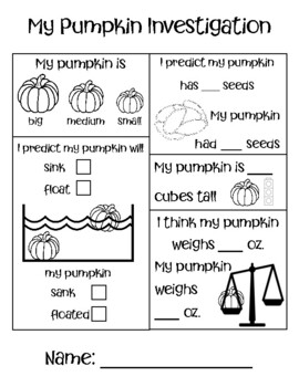 Pumpkin Investigation Worksheet by Amanda Johnson | TPT
