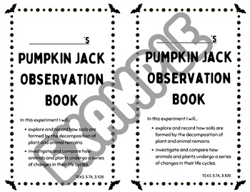Preview of Pumpkin Jack Observation Log